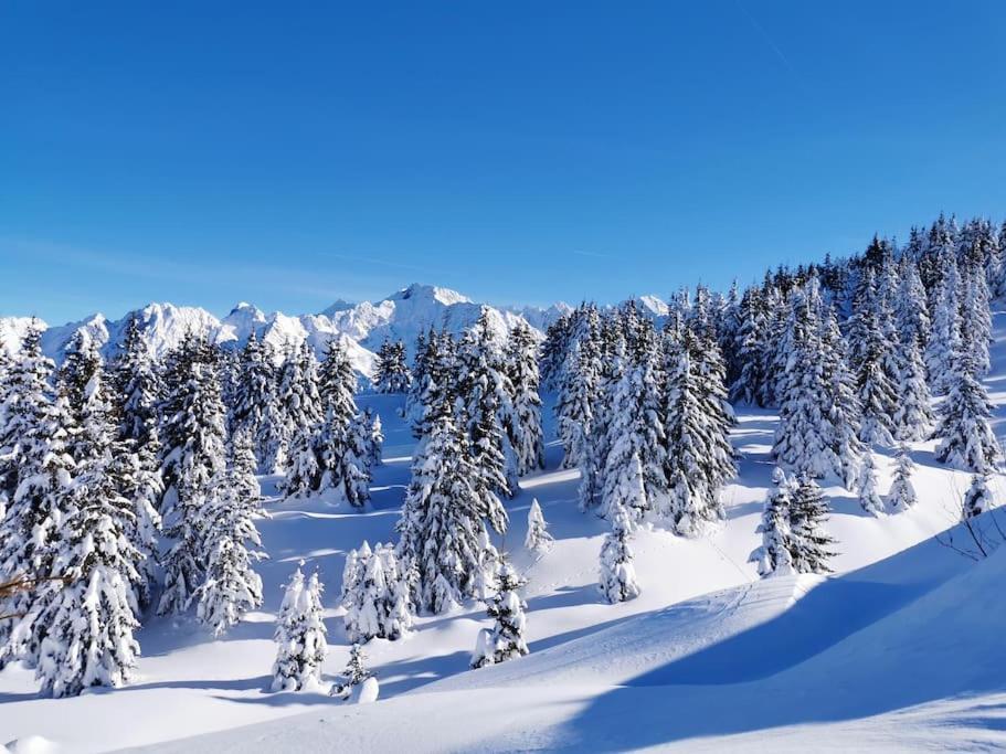 La Tour En Belledonne Villa Theys Dış mekan fotoğraf