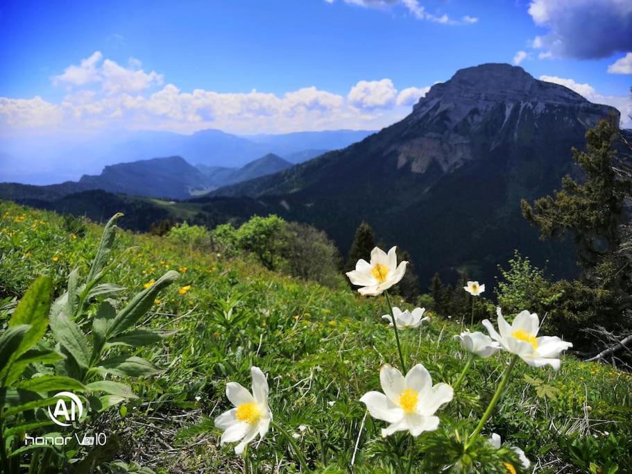 La Tour En Belledonne Villa Theys Dış mekan fotoğraf